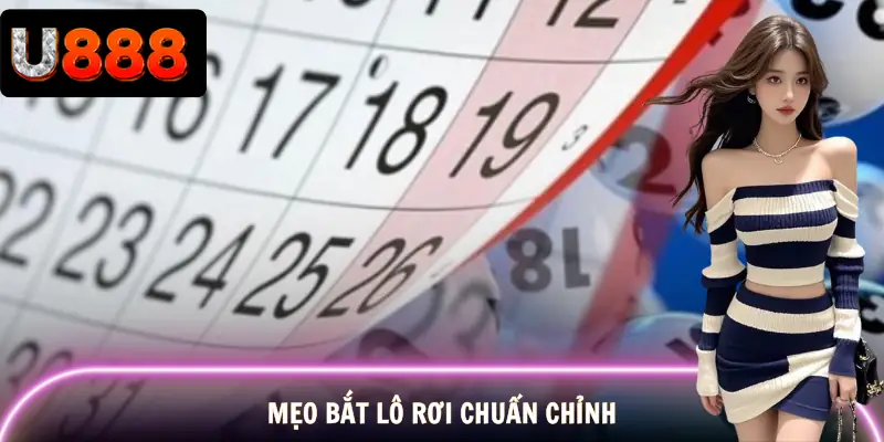 cach-bat-lo-roi-meo-choi